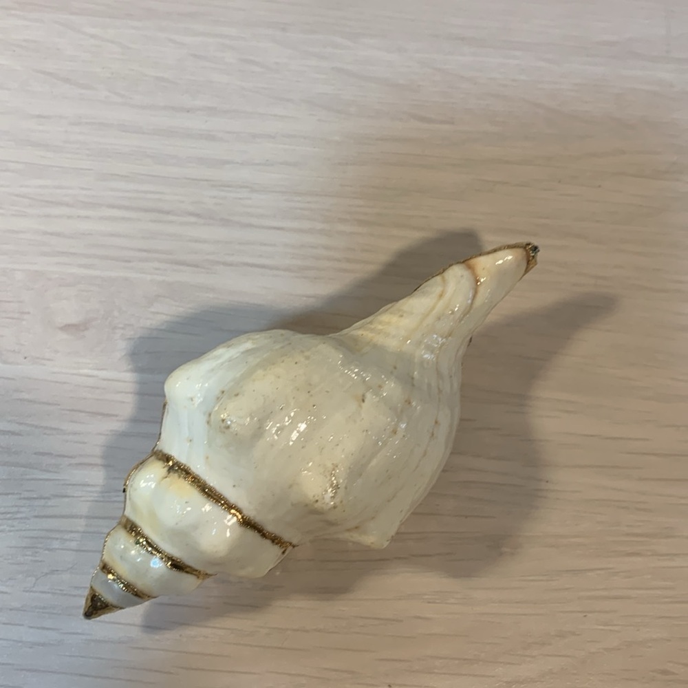 Vintage 1970s Real Shell Belt Buckle Ivory & Gold Nautical Coastal Beach Vibe - Picture 15 of 17